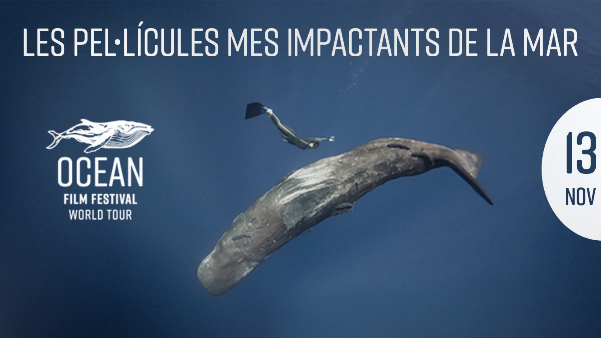 OCEAN FILM FESTIVAL WORLD TOUR MALLORCA