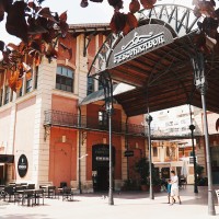Asamblea Ordinaria de Xarxa Cinema