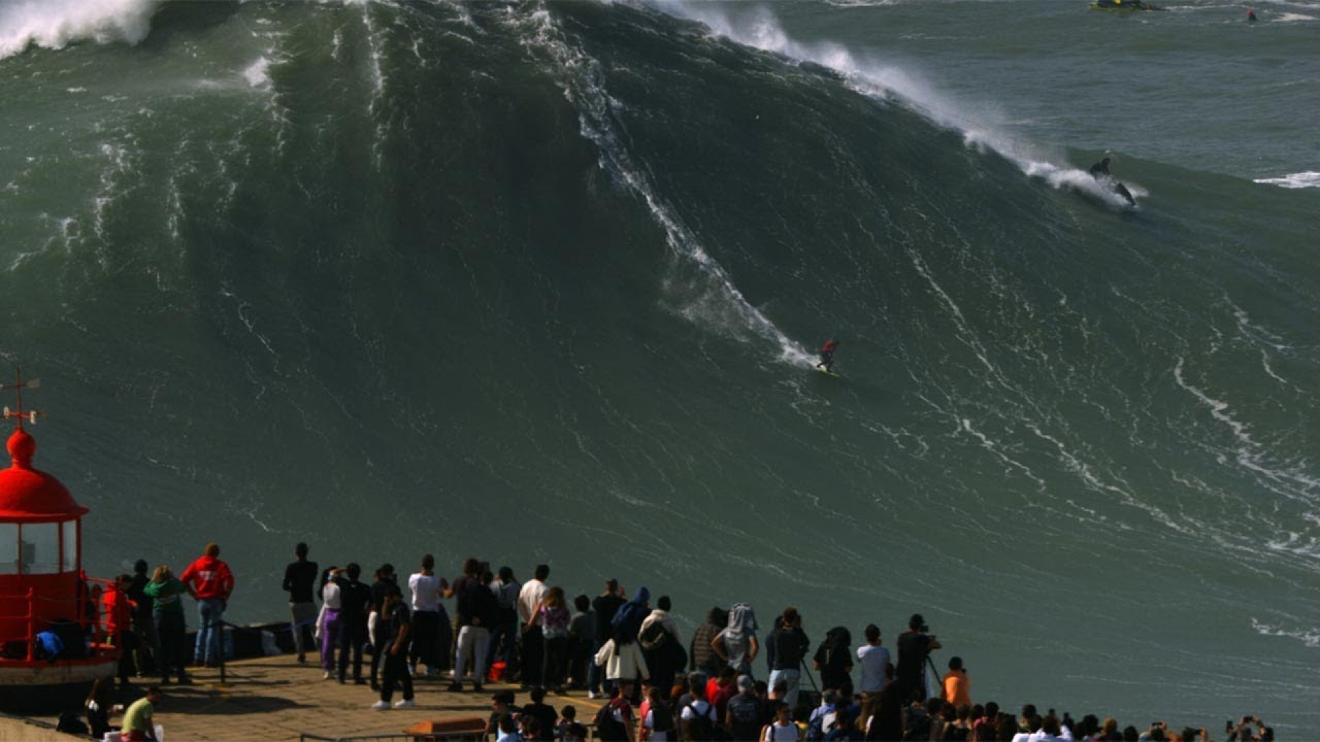 WIPE OUT: Sidney Crayweed + Ground Swell