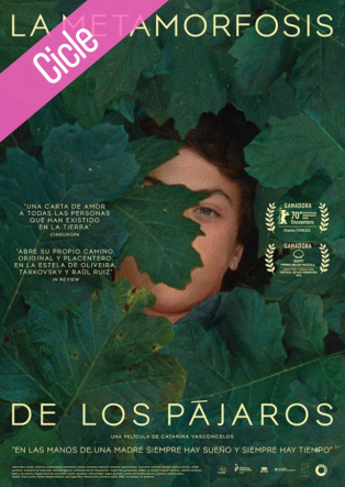 La Metamorfosis de los Pájaros