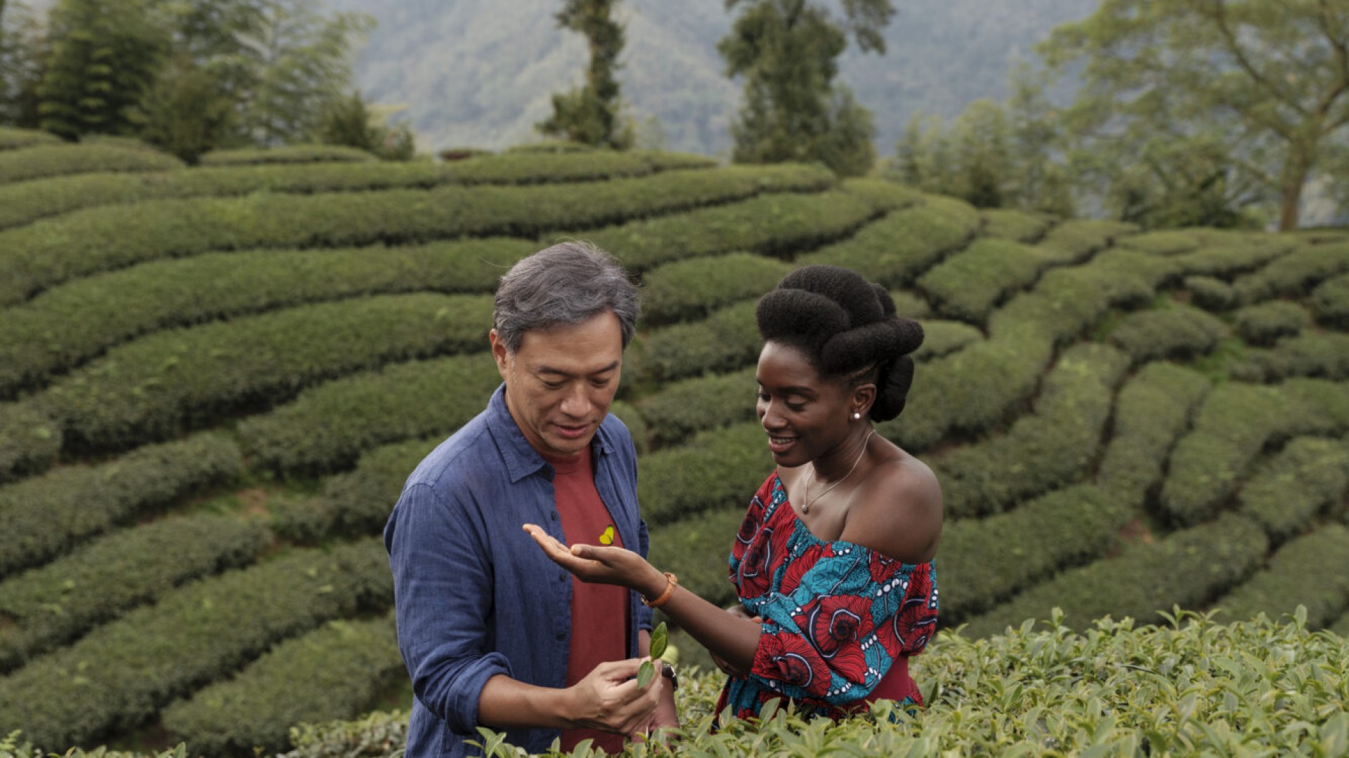 Té negro