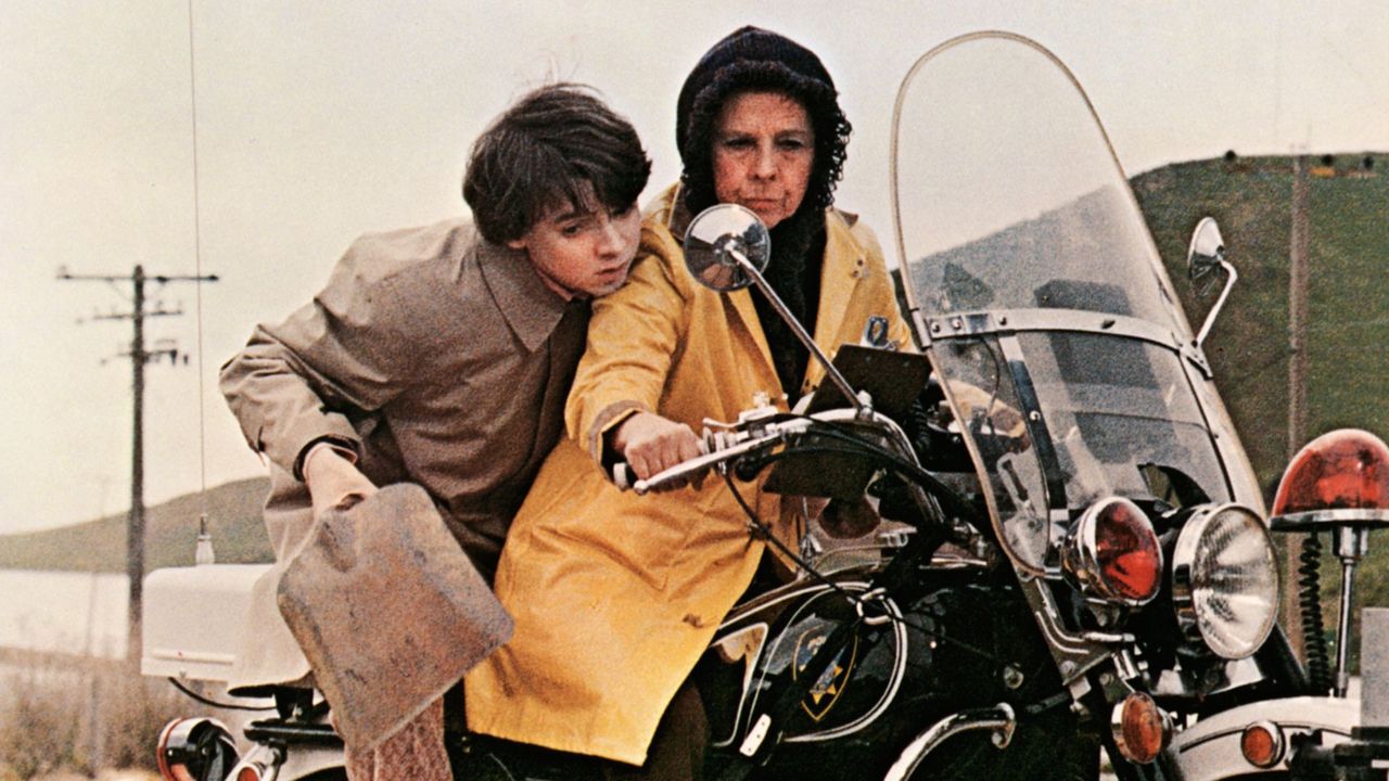 Harold y Maude