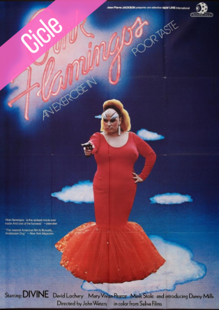 Pink Flamingos