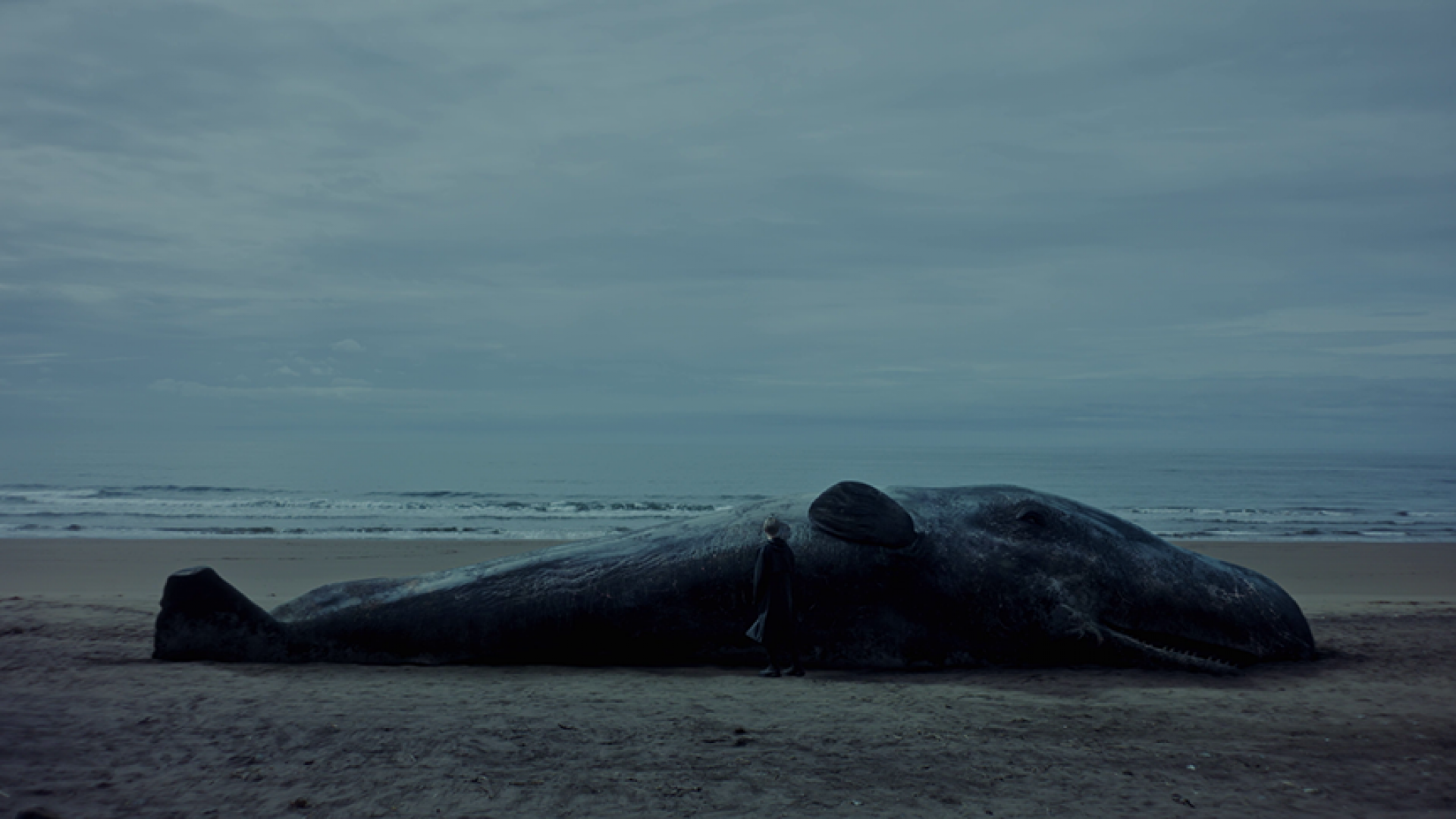 UNA BALLENA
