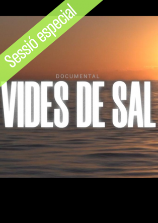 VIDES DE SAL