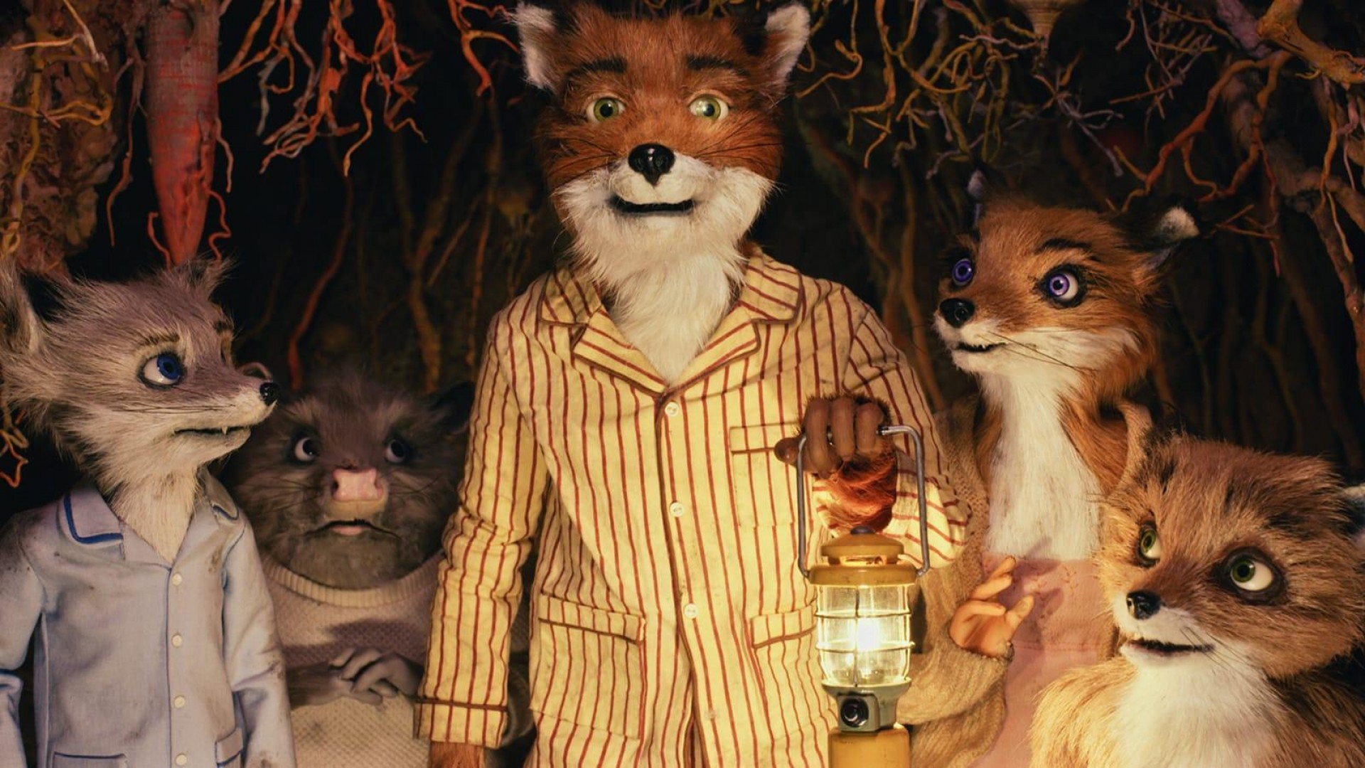 FANTASTICO SR. FOX