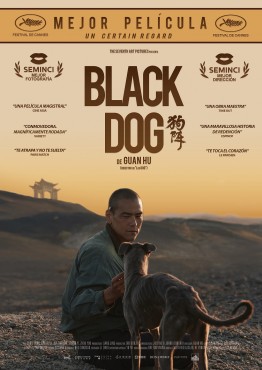 Black Dog