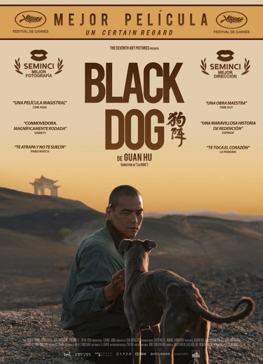Black Dog
