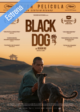 Black Dog