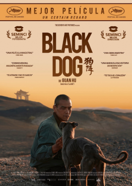 Black Dog