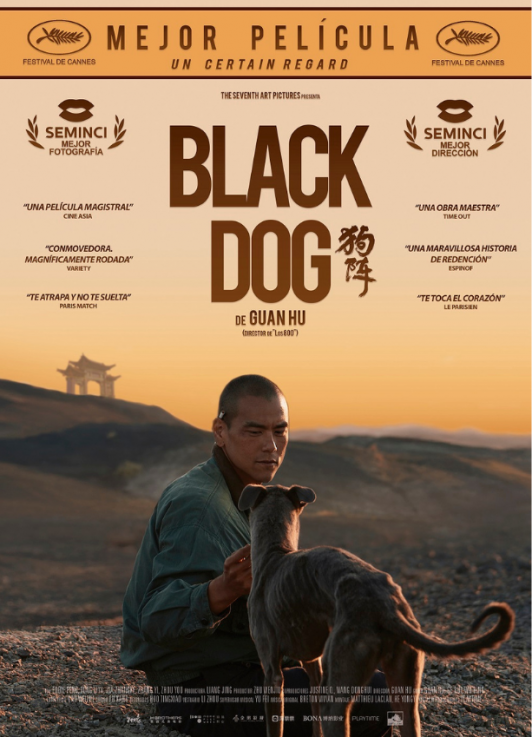 Black Dog