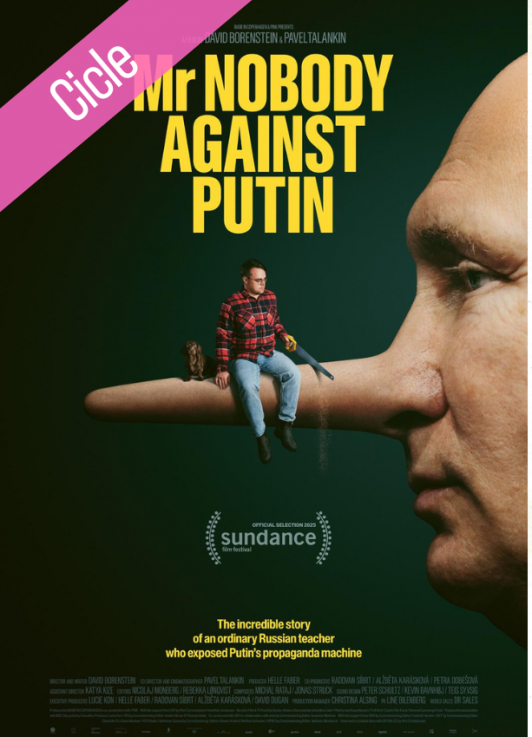 Mr. Nobody Against Putin