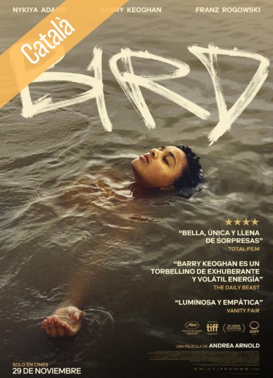 Bird