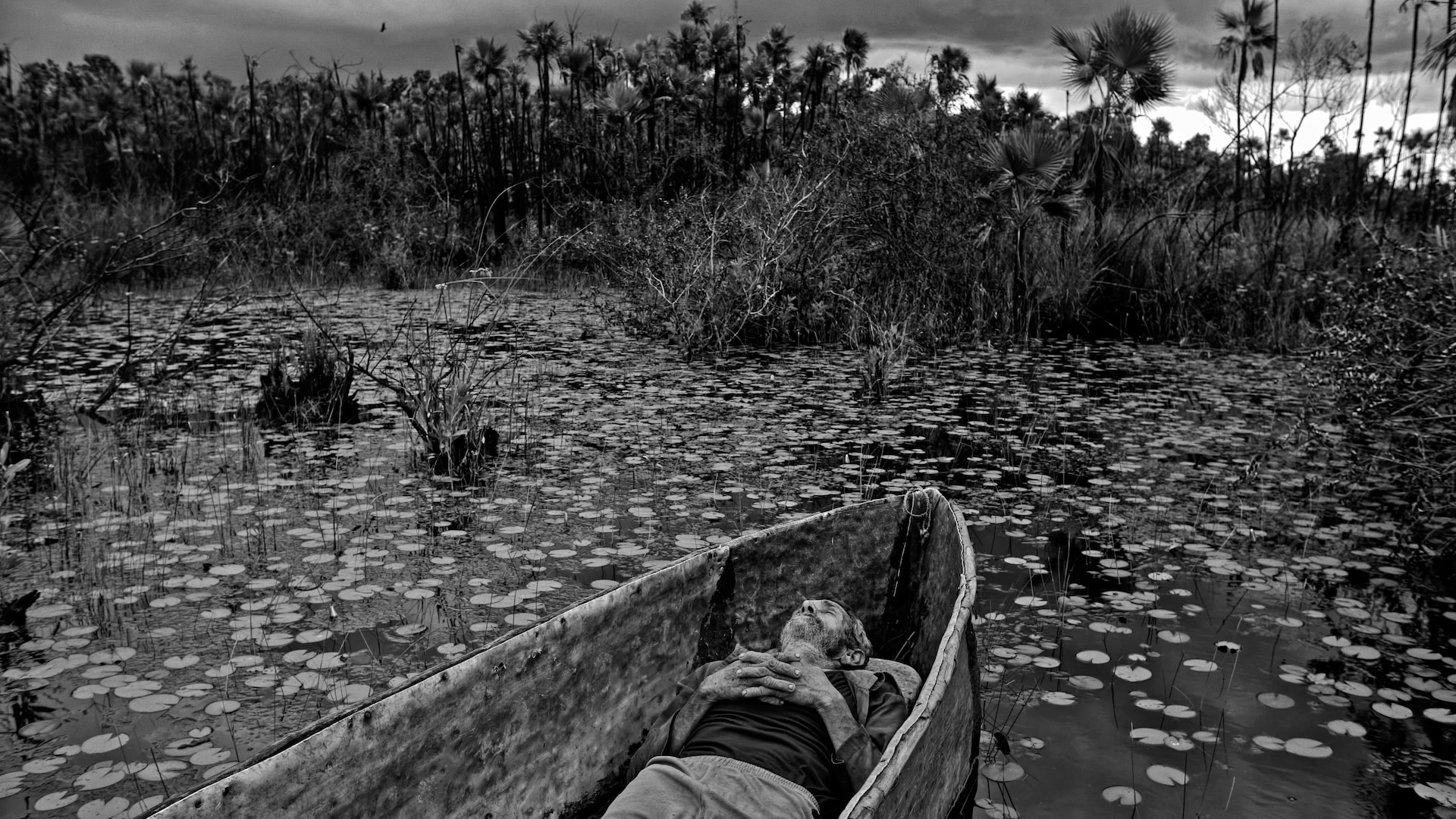 MAJORDOCS: AL OESTE EN ZAPATA.