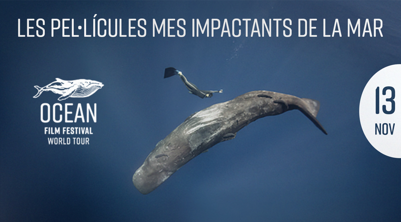 OCEAN FILM FESTIVAL WORLD TOUR 2025