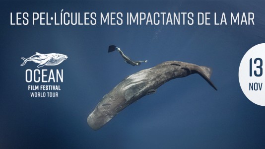 OCEAN FILM FESTIVAL WORLD TOUR 2025