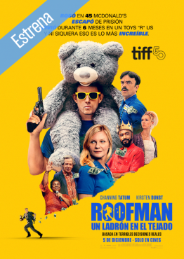 ROOFMAN. UN LADRÓN EN EL TEJADO   