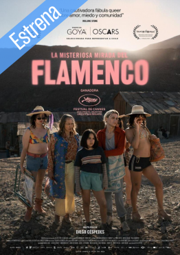 LA MISTERIOSA MIRADA DEL FLAMENCO