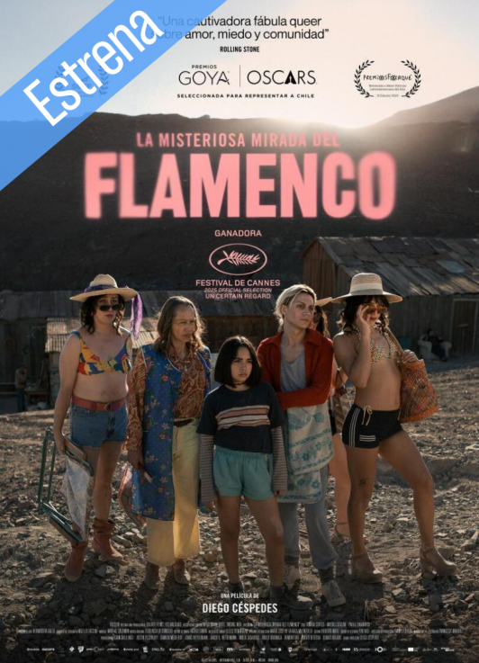 LA MISTERIOSA MIRADA DEL FLAMENCO