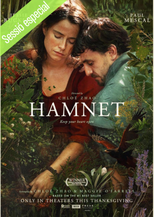 LITERATURA AMB CRISPETES: HAMNET