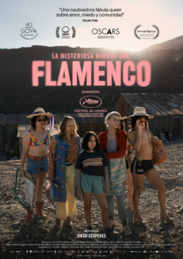 LA MISTERIOSA MIRADA DEL FLAMENCO